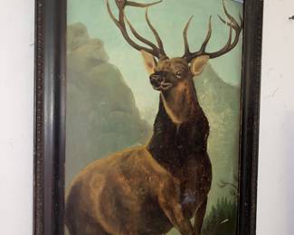 Great painted stag
