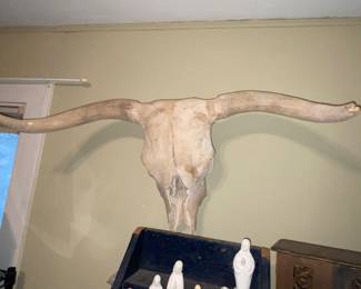 Steer skull 