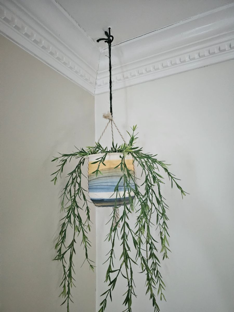 Manahawkin Estate starts on 1/11/2024