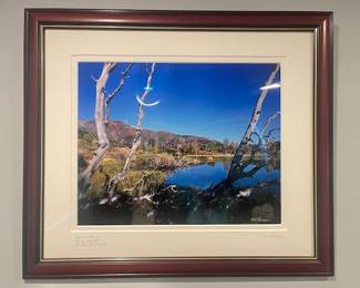 Photo signed Pat Thompson