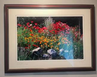 Photo signed Pat Thompson