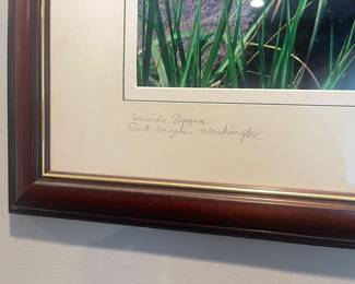 Photo signed Pat Thompson