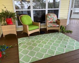 16B-$70 -  The outdoor green rug 