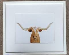 Shanron Montrose Photo of a Handsome Longhorn Steer Matted with White Frame MCM Style