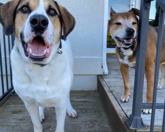 As always. 
We are modeling only. 