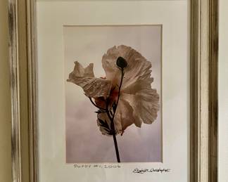 Poppy #1, 2006 Photograph, Signed
