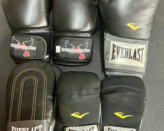 Everlast Boxing Gloves