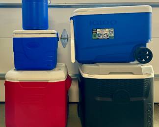 Igloo & Coleman Coolers