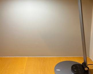 Taotronics Desk Lamp