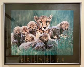 Framed Art Wolfe Poster 
