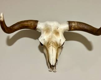 Faux Longhorn Mount