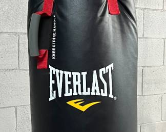 Everlast Punching Bag