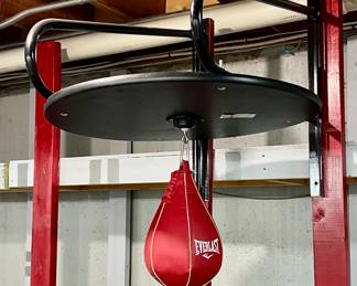 Everlast Speed Bag