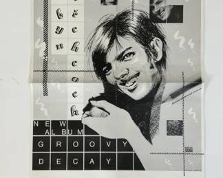 Robyn Hitchcock 1982 Promo Groovy Decay