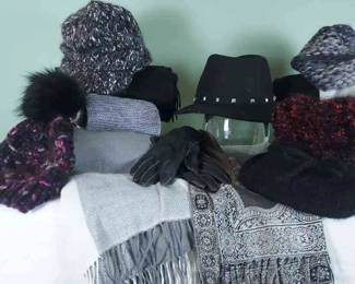 Womens Scarves and Winter Hats Including Nicole Marciano