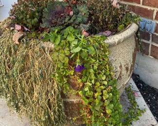 Heavy Concrete Planter