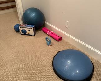 Bosu ball and workout equipment 