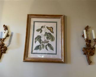 Large framed botanical