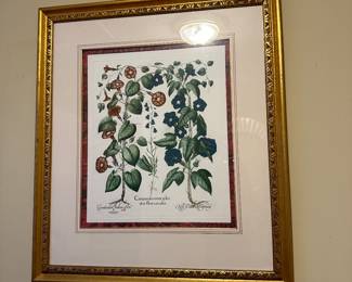 Framed Botanical 