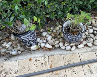 Large Blue and White Collection