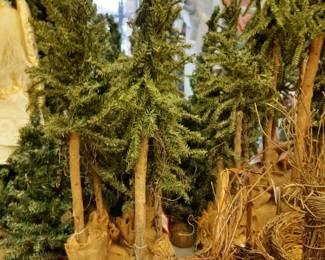 . . . there are probaby 100 Christmas trees of various sizes