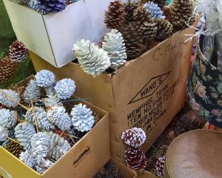 . . . pine cones abound