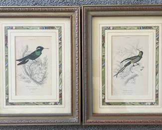 (4) Bird Prints