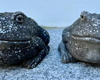 Garden Toads