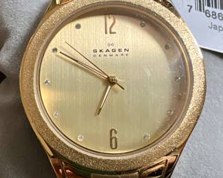 Skagen Denmark Watch