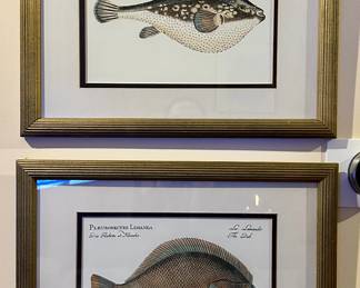 (2) Fish Prints