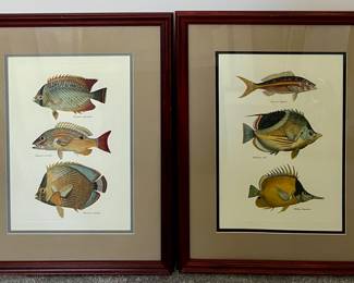 (4) Fish Prints