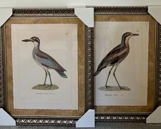 (4) Framed Bird Prints