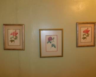 FRAMED BOTANICALS