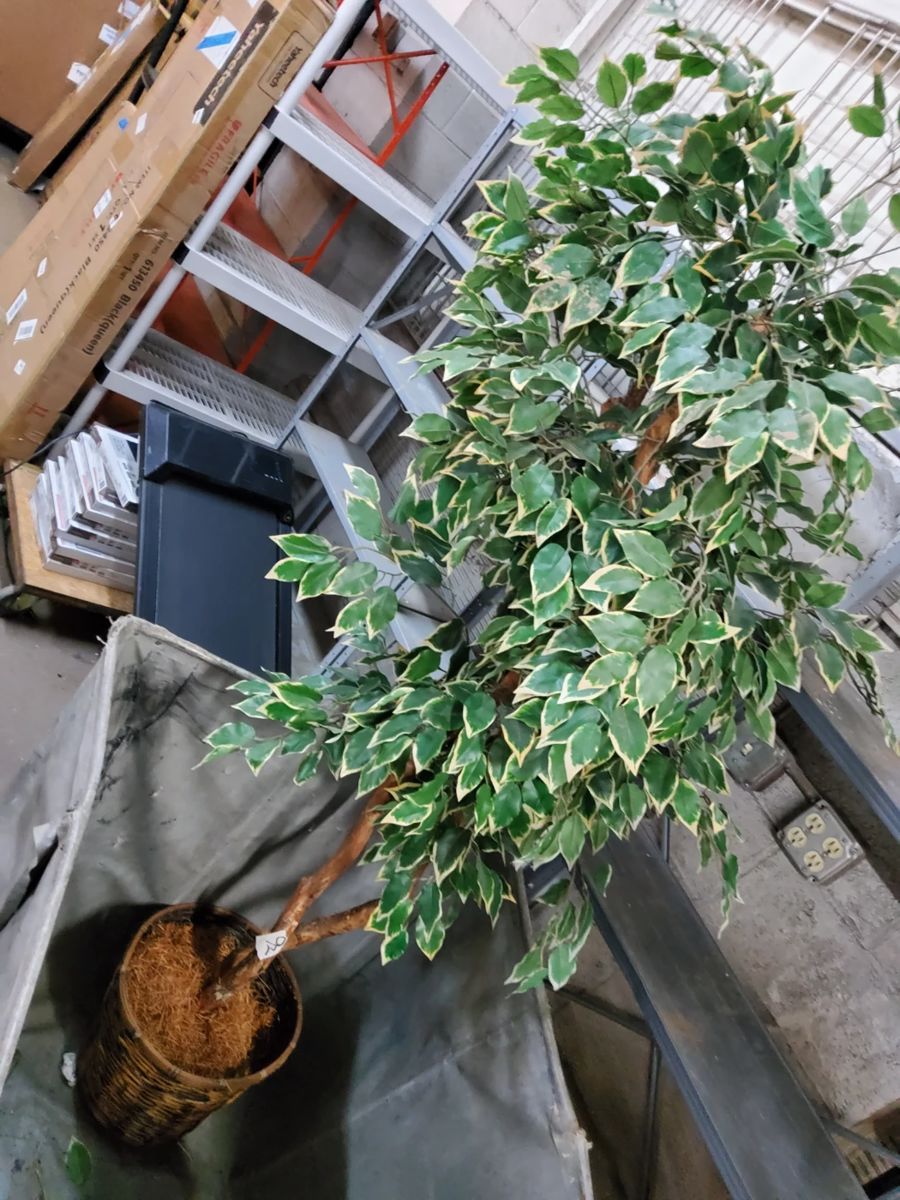 GARAGE CLEAN OUT in Lorain, OH starts on 1/4/2024