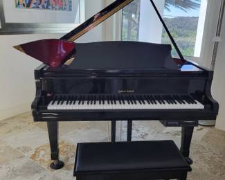 Lothar Schell Baby Grand Player Piano 5' 7 3/8 brand new player installed CDs floppys
