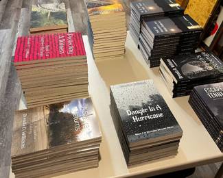 Local author’s books for sale! A Southern Railway is a series of 7 books about helping women get to safety from dangerous situations.