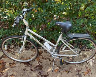 Ladies Trek Bike