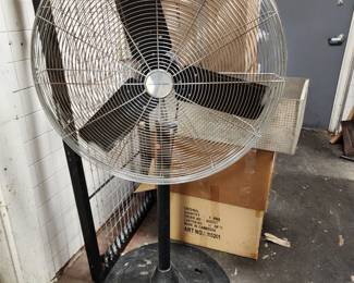 Fan
