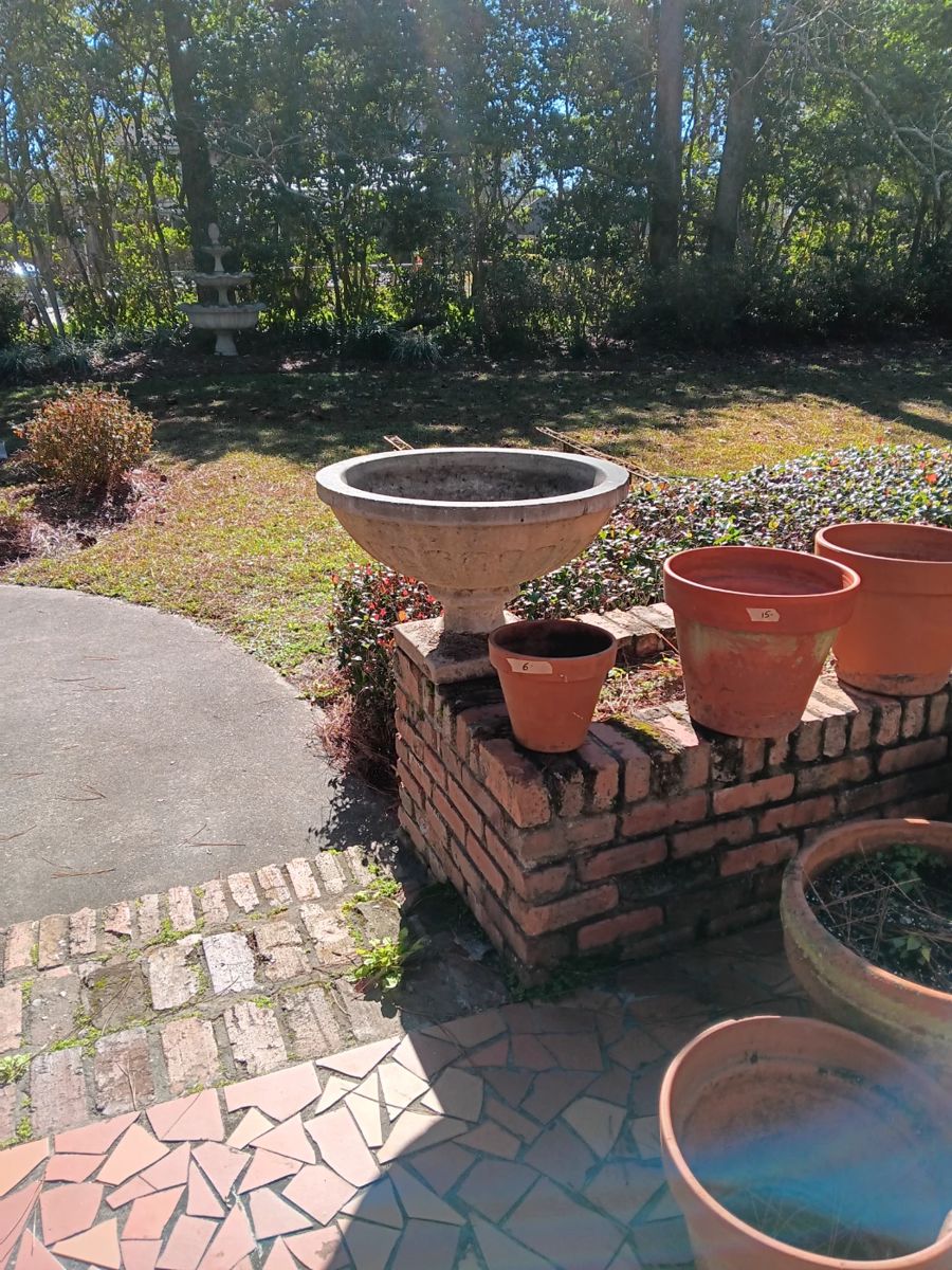 The Empty Nest in Valdosta, GA starts on 1/11/2024