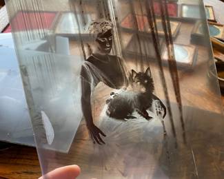 Assortment of Glass Plate Slide Negatives