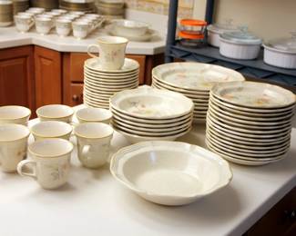 55 pcs. Mikasa Prairie Rose