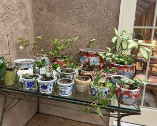 Lot of 20 small ceramic planters - no plastic! --- $80