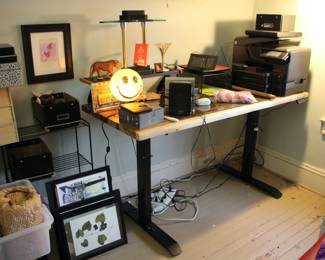 Live edge height adjustable desk with power strip