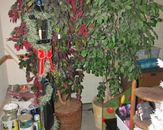 Decor Ficus trees (paint not available)