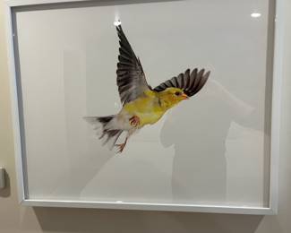 $280. Paul Nelson American Goldfinch from Room & Board.  31"w x 25"h x 2.4"d.  Currently online for $629 plus tax and shipping.