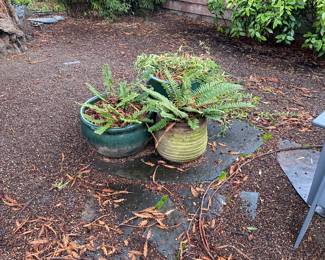 for sale during in-person shopping hours only.