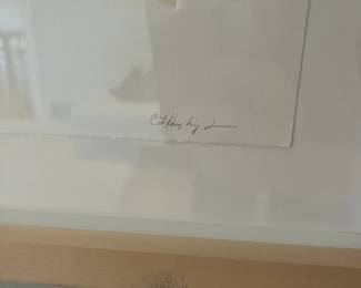 photo of the signature.