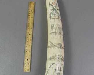 Scrimshaw walrus tusk