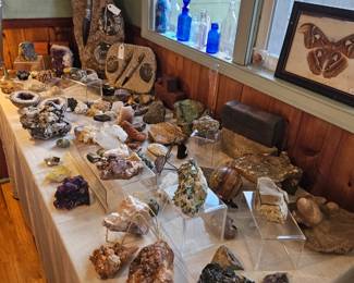 Collectible rocks including ammonite, fossils, azurite, pyrite, geodes, amethyst, and other rocks.