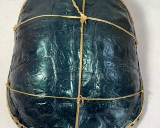 Turtle Shell Drum 